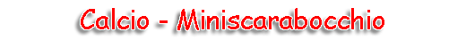 Pulcini